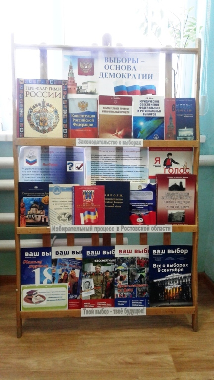 Выставка к выборам в библиотеке. Библиотечная выставка "выборы-это выбор будущего".. Выставка выбор пути в Новосибирске.